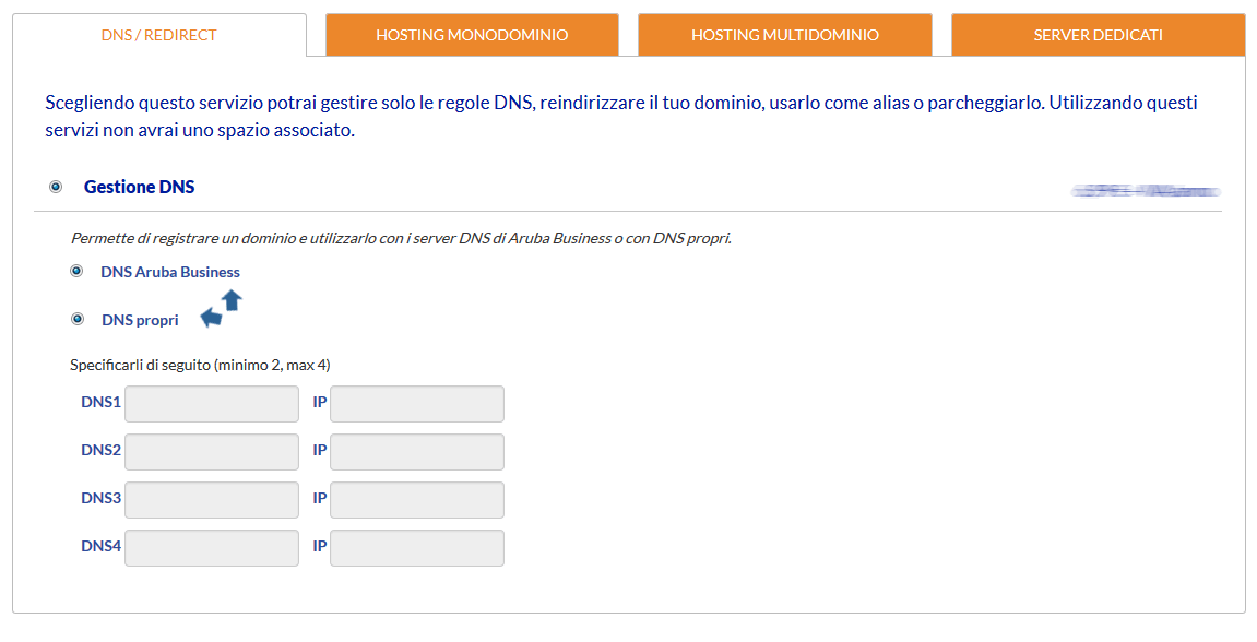 utilizzare un dominio con DNS di Aruba Business o propri