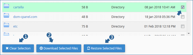bottoni clear section, download Selected Files e restore Selected Files