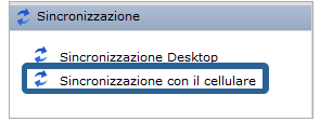 sincronizzazione con il cellulare