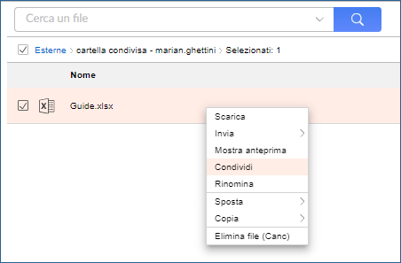 condividi file